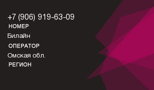 9069196309